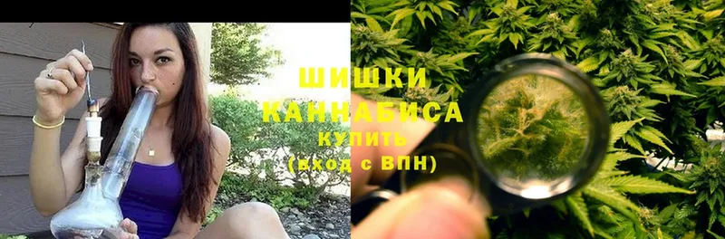 Шишки марихуана Amnesia  как найти наркотики  Злынка 